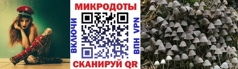 Псилоцибиновые грибы MAGIC MUSHROOMS Белоусово